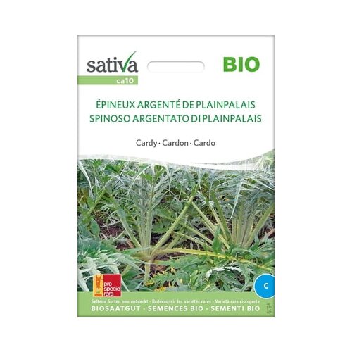 Sativa Cardy "Epineux argente de P.-Palais" Cene