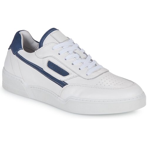 Pellet RAPHAEL Blue Cijene