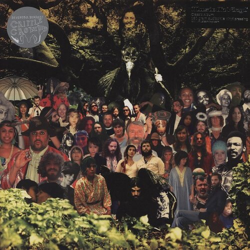 POSNETI MEDIJI DEVENDRA BANHART - CRIPPLE CROW, (21009963) Cene