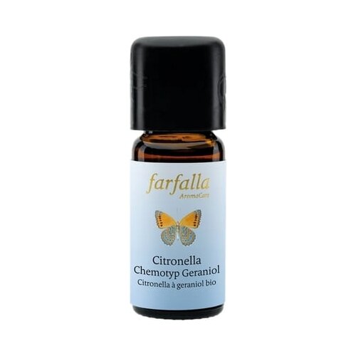 Farfalla citronela nep Slike