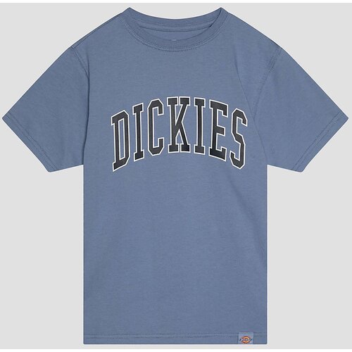Dickies Aitkin Kids T-shirt country blue Slike