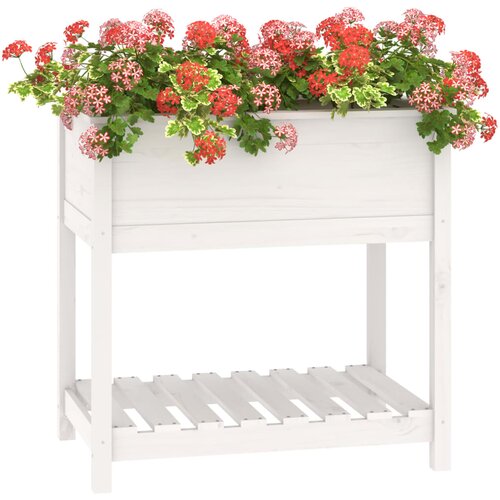 Sadilica s policom bijela 82,5x54x81 cm od masivne borovine Slike