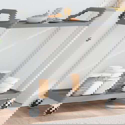 VidaXL Kolica s 2 razine siva 99 x 50 x 97 cm aluminijska Slike