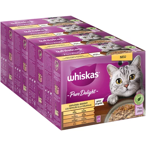 Whiskas Multi pakiranje Pure Delight porcijske vrečke 96 x 85 g - Perutninski ragu v želeju