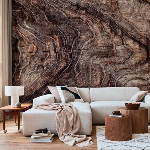  Foto tapeta - Signs of the times - an abstract background with the wrinkled bark of an old tree 490x350 Samoljepljiva Cijene