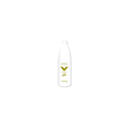  Šampon za obojenu kosu Young Organic Black & Green Tea – 1000 ml Cene