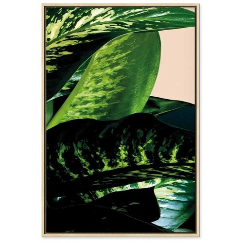  Slika - Dieffenbachia (1 Part) Vertical 60x90 Slike