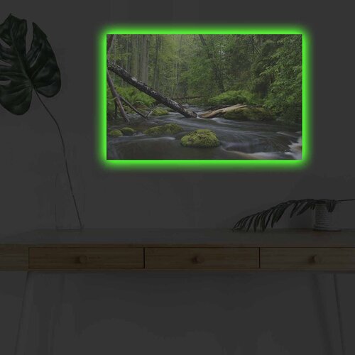 Wallity Slika sa LED osvetljenjem 4570DHDACT-003, 45x70 cm Cene
