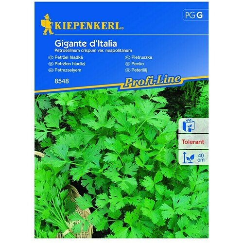 KIEPENKERL Zeli&scaron;čna semena peter&scaron;ilja Gigante d'Italia (Petroselinum crispum var. neapolitanum, Čas setve: Marec, Čas žetve: Junij) Cene
