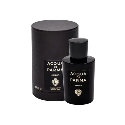 Acqua Di Parma Signatures Of The Sun Ambra parfumska voda 100 ml unisex