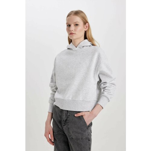 Defacto Boxy Fit Thick Hooded Sweatshirt Cene