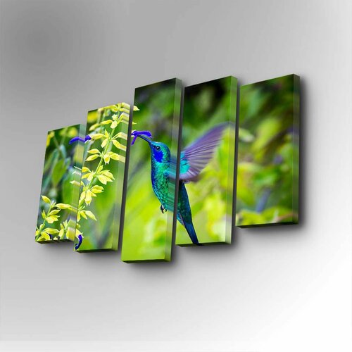 Wallity 5PUC-075 multicolor decorative canvas painting (5 pieces) Slike