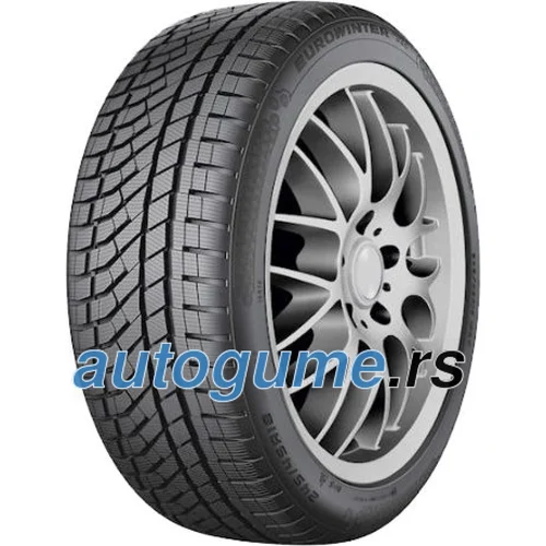 Falken EUROWINTER HS02PRO ( 265/50 R19 110V XL, NBLK )