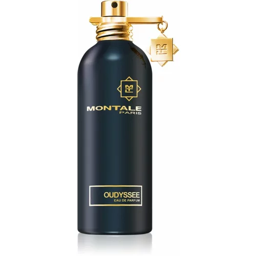 Montale Oudyssee parfumska voda uniseks 100 ml