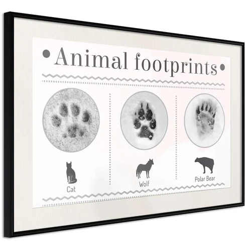  Poster - How to Recognize an Animal 30x20