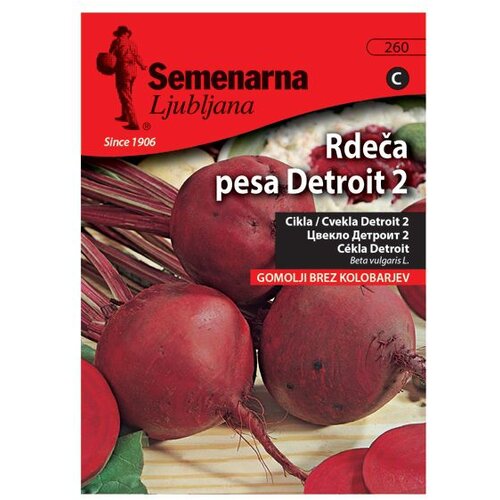 Semenarna KORENOVKA RDEČA PESA DETRIOT V MALI VREČICI 260 Slike
