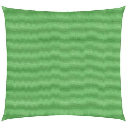 vidaXL Senčno jadro 160 g/m² svetlo zeleno 2,5x2,5 m HDPE, (20965819) Cene