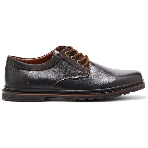 Shelvt Men's Brown Lace-Up Shoes Cijene