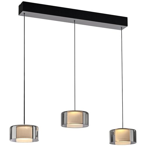 PAUL NEUHAUS Hanglamp zwart met smoke glas incl. LED 3-lichts easylift - Rika Cene