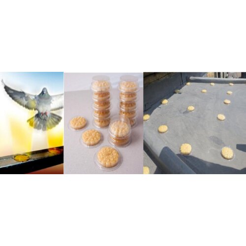 Olimp Sport BIRD FREE Vatreni Gel Cene