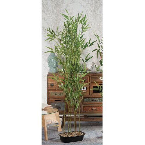  BAMBUS U SAKSIJI 150CM 52661 STAR Slike