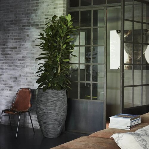 Capi Vaza Nature Rib elegantna Deluxe 45x72 cm antracitna Slike