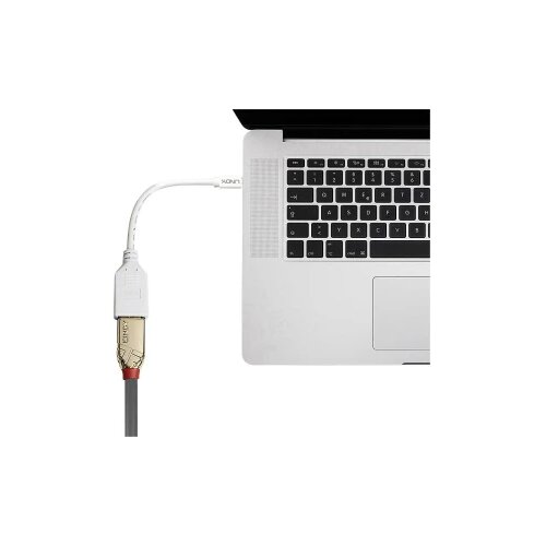 Lindy 41021 DisplayPort / Mini-DisplayPort adapterski kabel [1x ženski konektor DisplayPort - 1x muški konektor mini displayport] bijela 15.00 cm Cijene