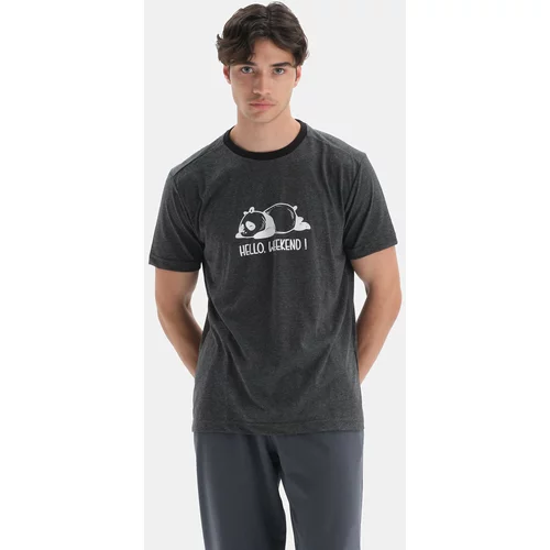 Dagi T-Shirt - Gray - Regular fit