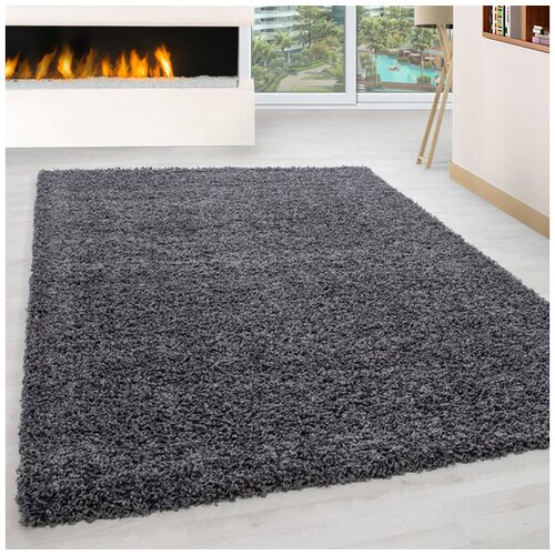 Conceptum Hypnose tepih 60x110cm Tamno sivi Cene