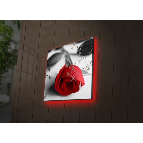 Wallity Slika sa LED osvetljenjem 4040DACT-26, 40x40 cm Cene