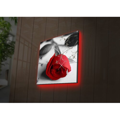Wallity Zidna slika sa LED osvetljenjem 4040DACT-26, 40x40 cm Cijene