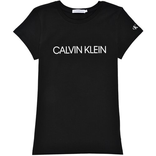Calvin Klein Jeans Majice s kratkimi rokavi INSTITUTIONAL T-SHIRT Črna Slike