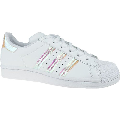 Adidas Nizke superge SUPERSTAR J Bela Cene