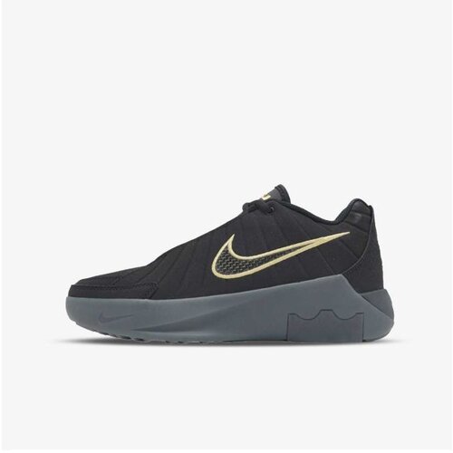 Nike Lebron witness ix gs Cene