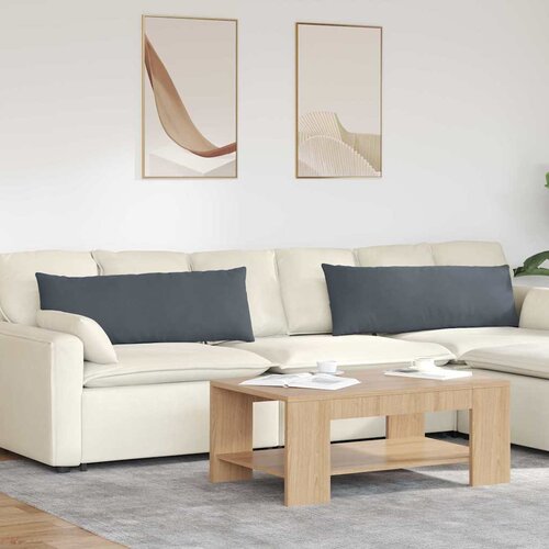  Jastučići za sofu 2 pcs Tamno siva 120 x 40 cm Kordura tekstil Cene