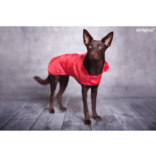 Amiplay Bristol Raincoat Re Slike
