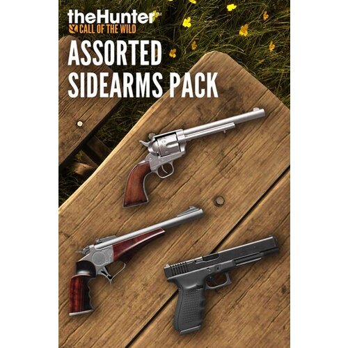 Steam theHunter Call of the Wild™ - Assorted Sidearms Pack (DLC) Key GLOBAL Cene
