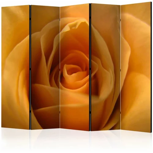  Paravan u 5 dijelova - Yellow rose – a symbol of friendship II [Room Dividers] 225x172