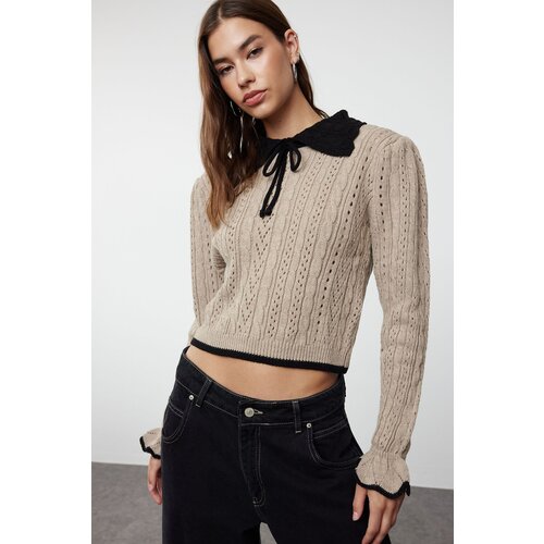 Trendyol Mink Crop Openwork/Perforated Polo Neck Knitwear Sweater Slike