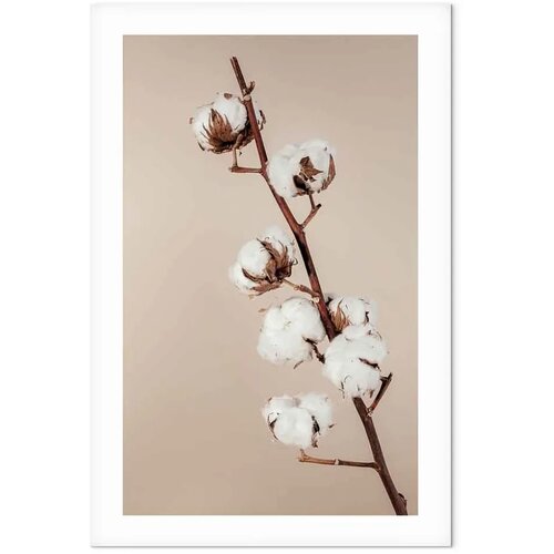  Slika - Softness of Cotton (1 Part) Vertical 80x120 Slike