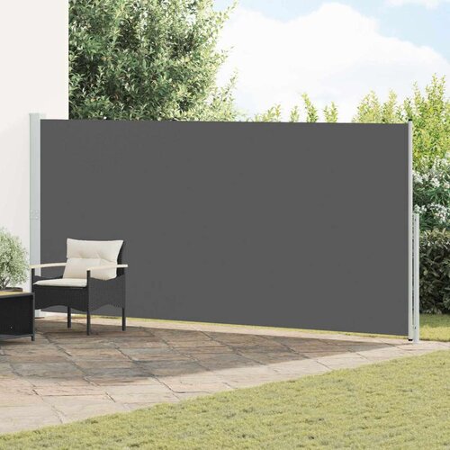  Retraktabilna bočna tende 100% poliester  željezo  čelik - Antracit 180 x 500 cm Cijene