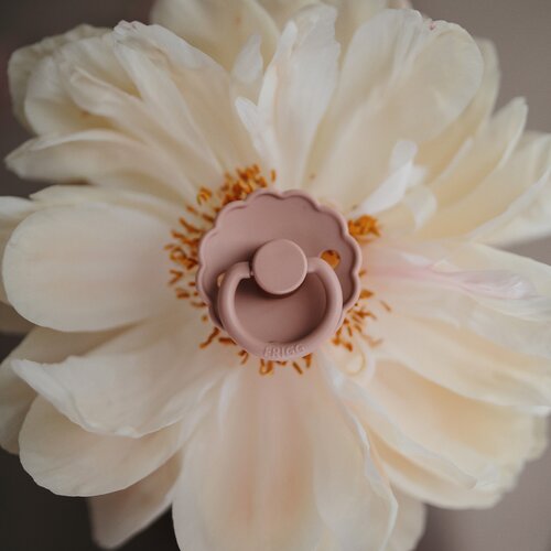 FRIGG&amp;reg; tolažilna duda daisy silicone soft lilac &amp;amp; fuchsia Slike