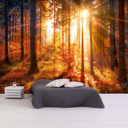  Samoljepljiva foto tapeta - Autumnal Time 441x315 Slike