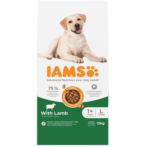 IAMS Advanced Nutrition Adult Large Dog s janjetinom - 12 kg Cijene