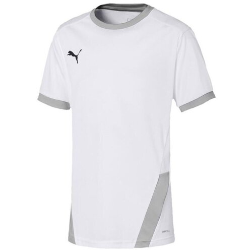 Puma Teamgoal 23 Jersey sarena Slike