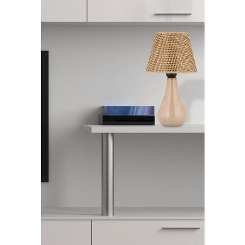 Opviq 20451 brown table lamp Cene