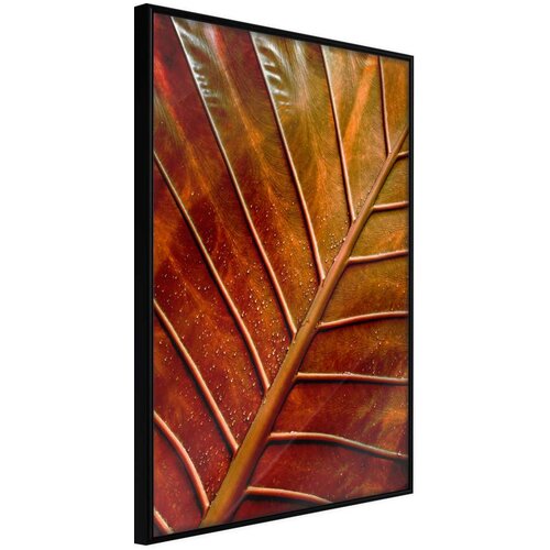  Poster - Bronze Leaf 40x60 Slike