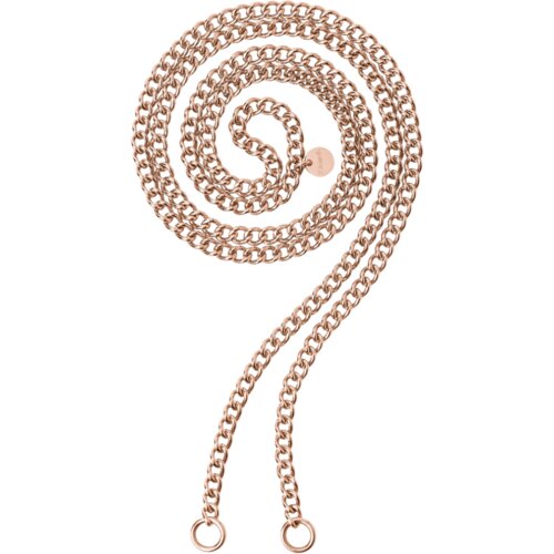 2jewels NAKIT 2JEWELS OGRLICA LOCK'N'CHAIN 251769 Cijene