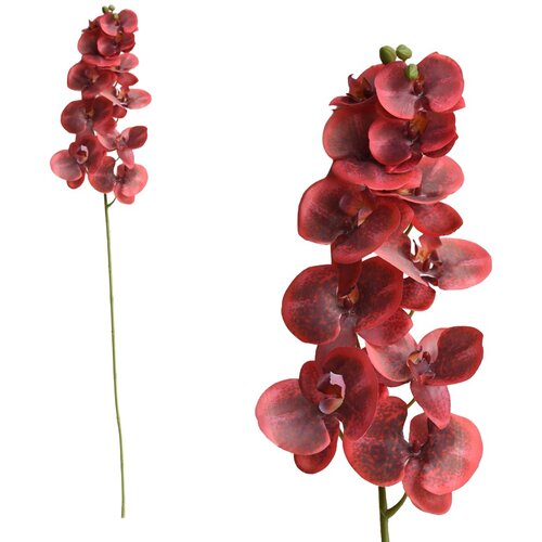  Rezano cvijeće grana orhideje E 104 cm 31388008 Cene