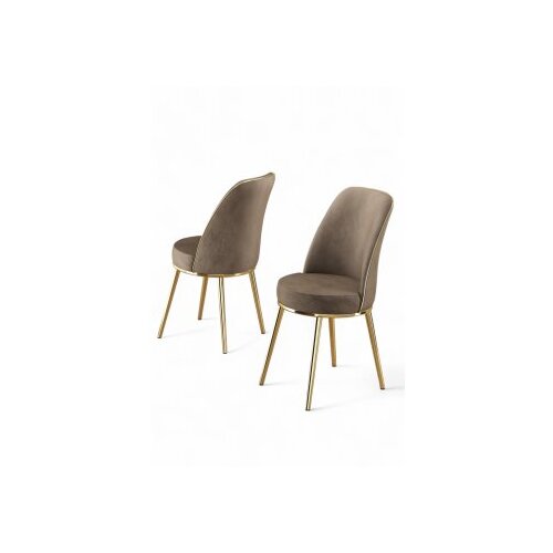 Hanah home Pefa set stolica, 45x91x42 cm, 2 dijela, srebrno-smeđa boja Cene
